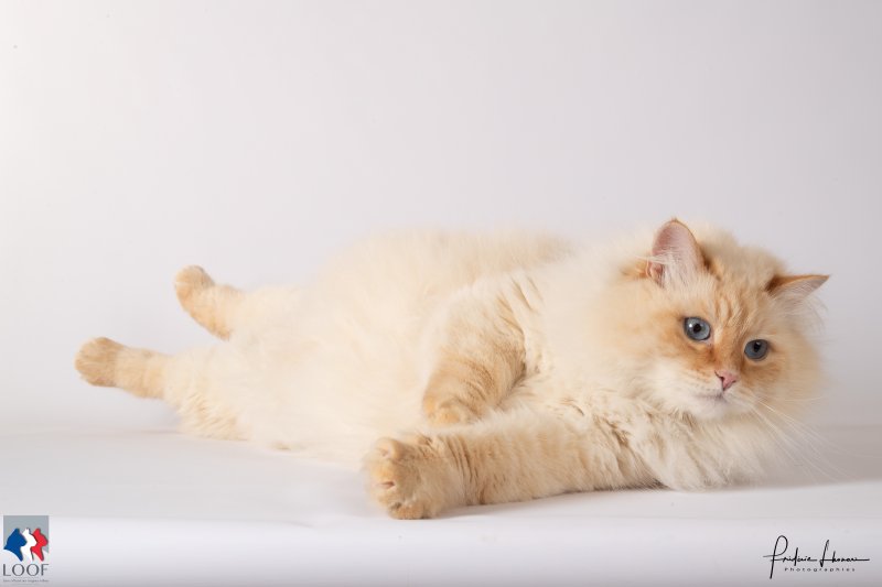 ct5i1944 5e16389e4fc88